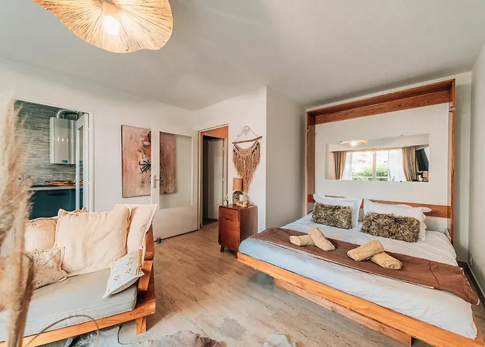 Apartment Riviera Piscine, Parking Et Animaux Acceptes Saint-Raphael (Var)